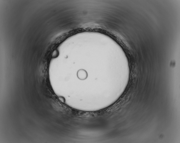 X0000100321063200807031205