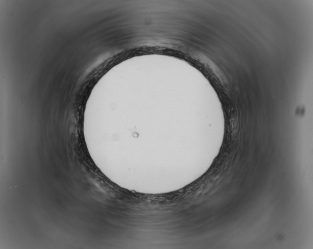 X0000100321064200807031205