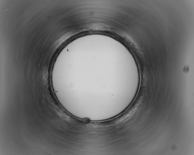 X0000100321065200807031205