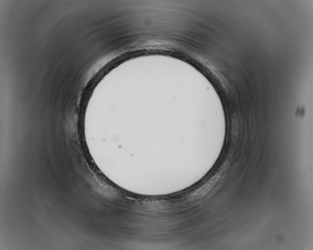 X0000100321066200807031205