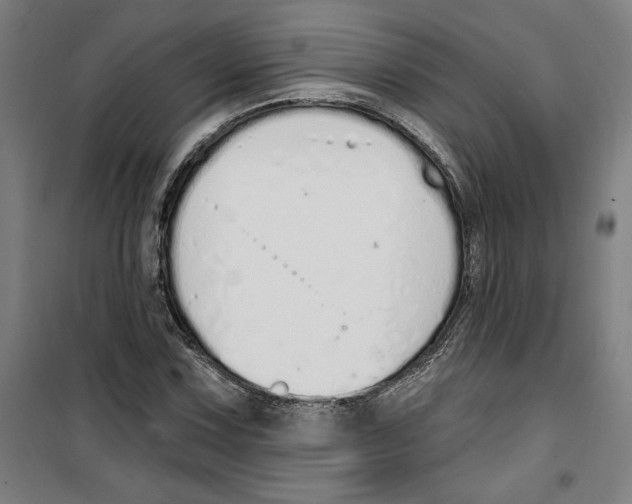 X0000100321067200807031205