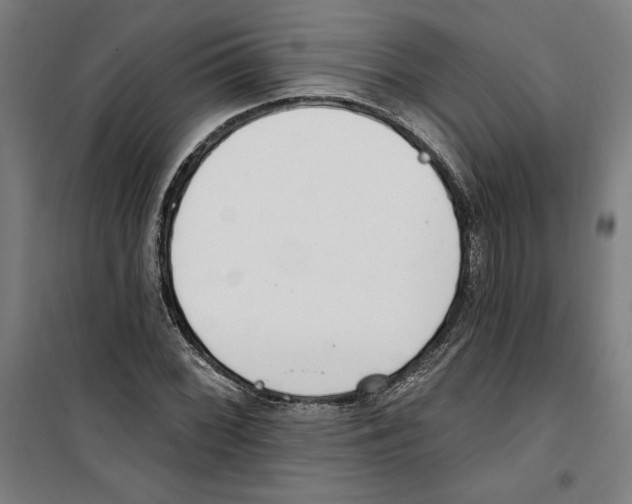 X0000100321068200807031205