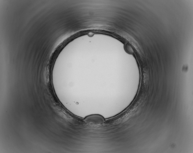 X0000100321069200807031205