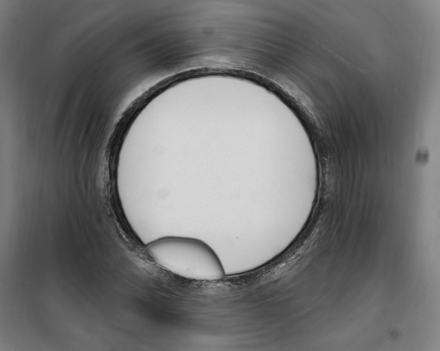 X0000100321070200807031205