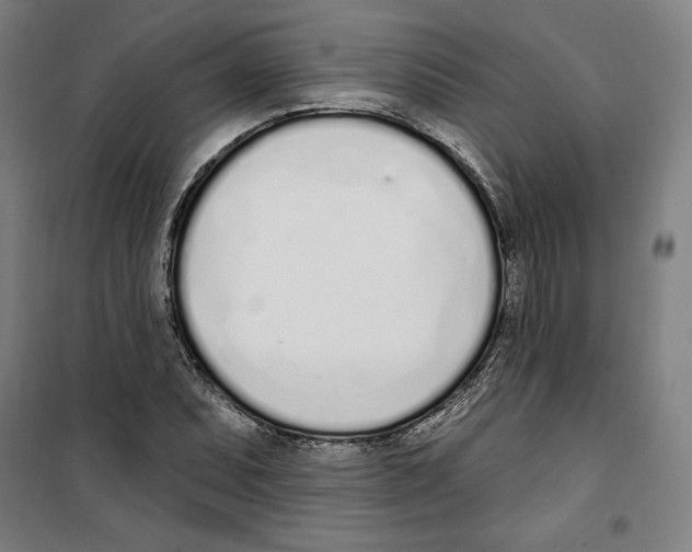 X0000100321071200807031205