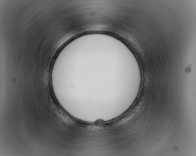 X0000100321073200807031205