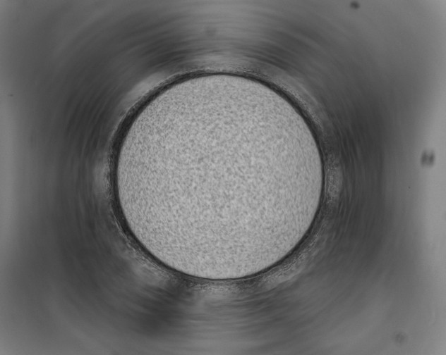 X0000100321074200807031205