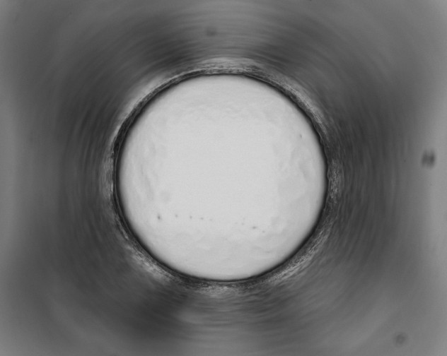 X0000100321075200807031205