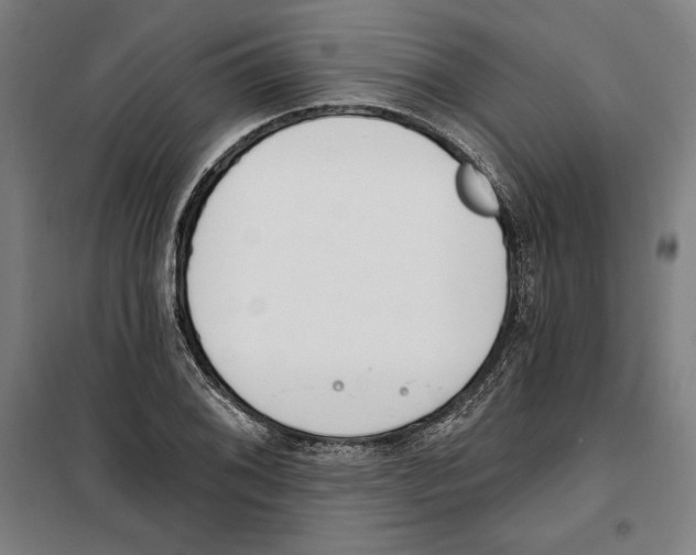 X0000100321076200807031205