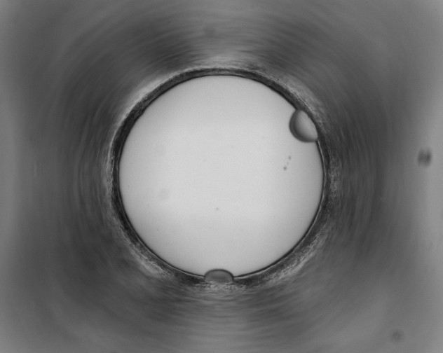 X0000100321077200807031205