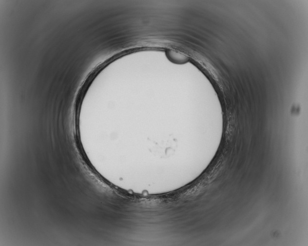 X0000100321080200807031205