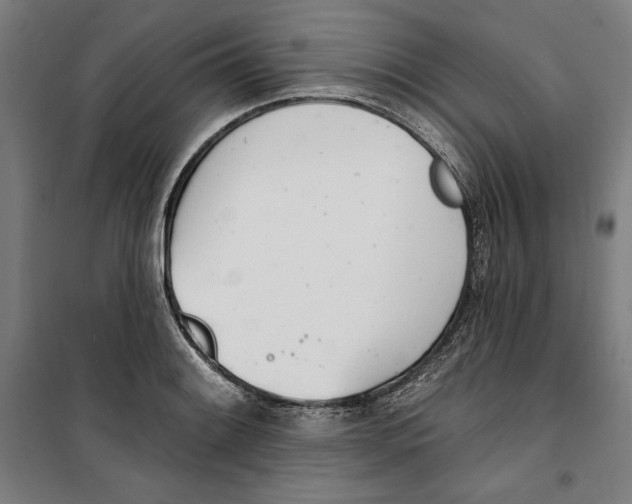 X0000100321084200807031205