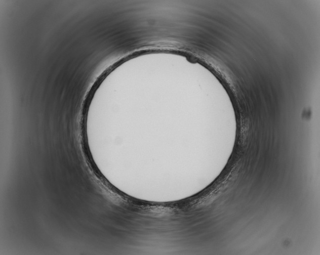 X0000100321085200807031205