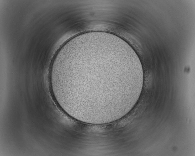 X0000100321086200807031205