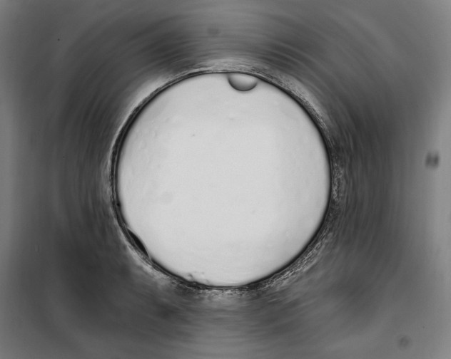 X0000100321087200807031205