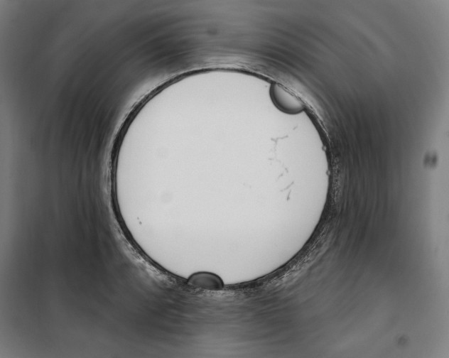 X0000100321088200807031205