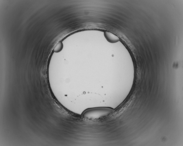 X0000100321089200807031205