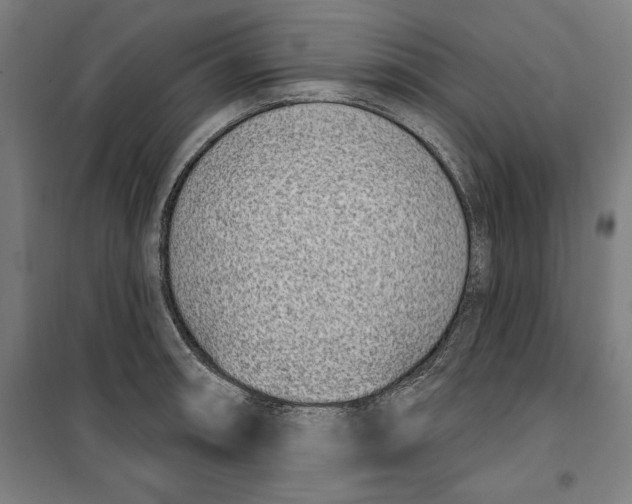 X0000100321090200807031205