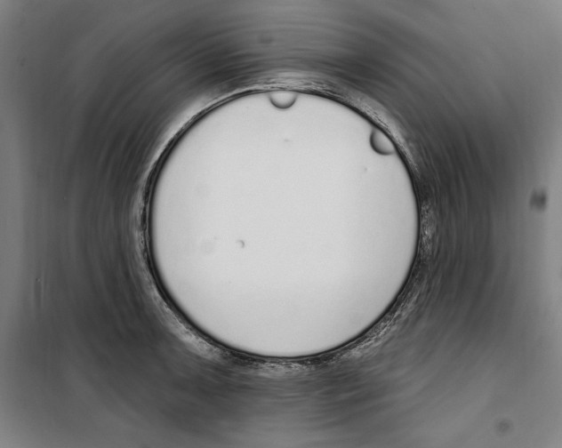 X0000100321091200807031205