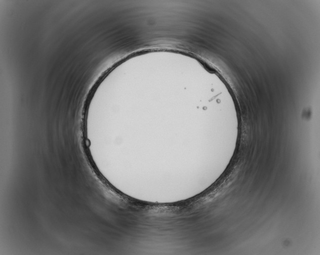 X0000100321093200807031205