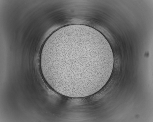 X0000100321094200807031205