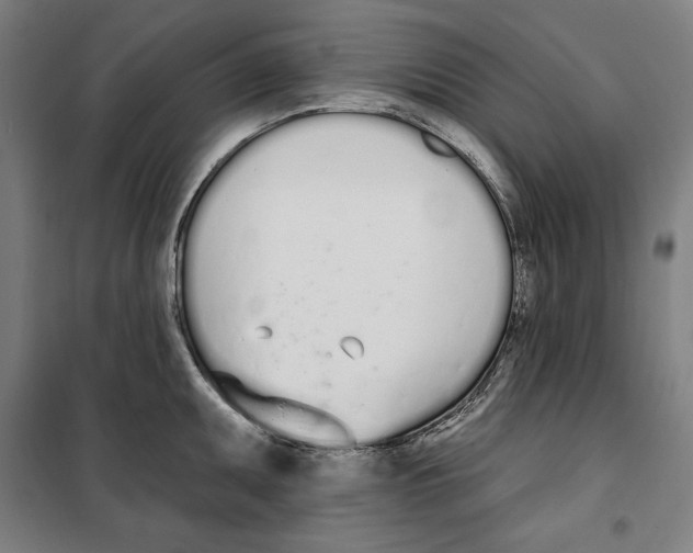 X0000100321095200807031205