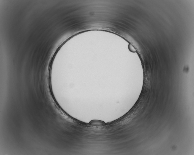 X0000100321096200807031205