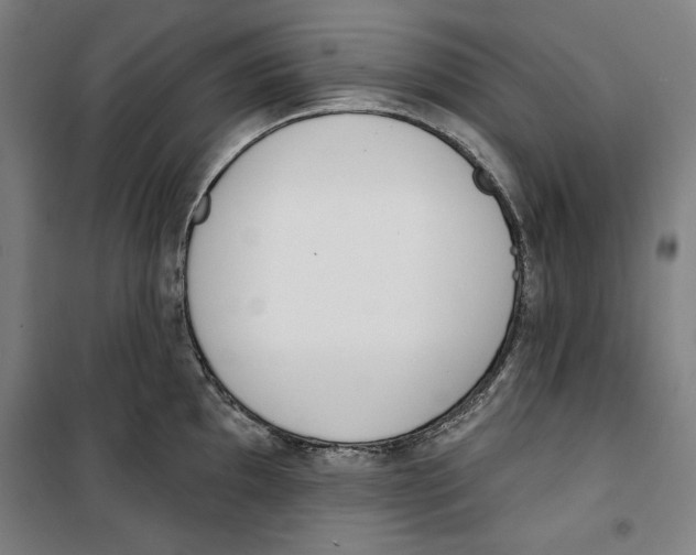 X0000100321097200807031205