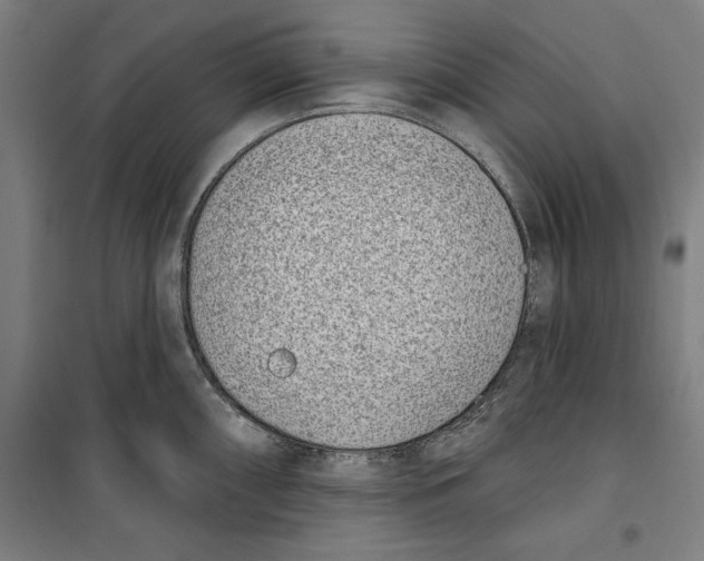 X0000100321098200807031205