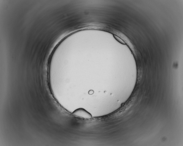 X0000100321099200807031205