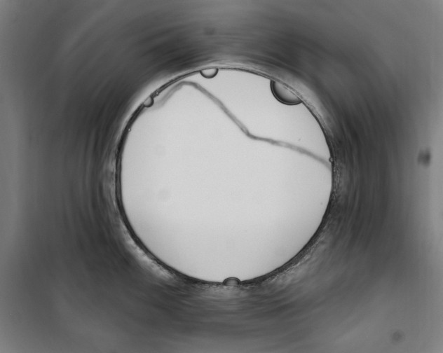 X0000100321100200807031205