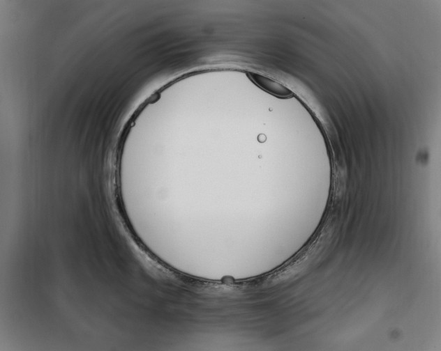 X0000100321101200807031205