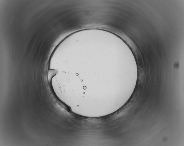 X0000100321102200807031205