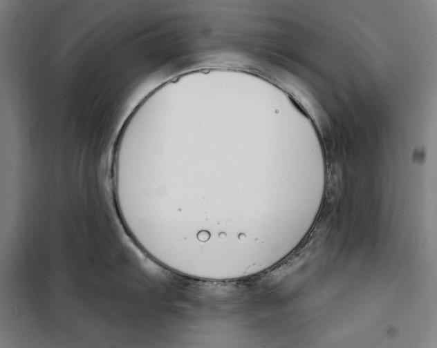 X0000100321103200807031205