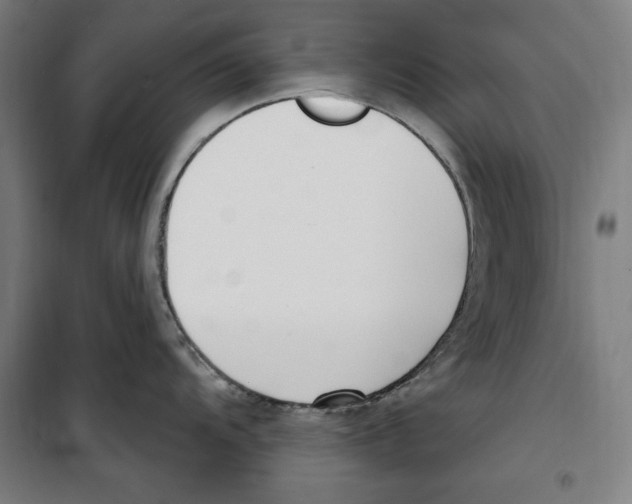 X0000100321104200807031205