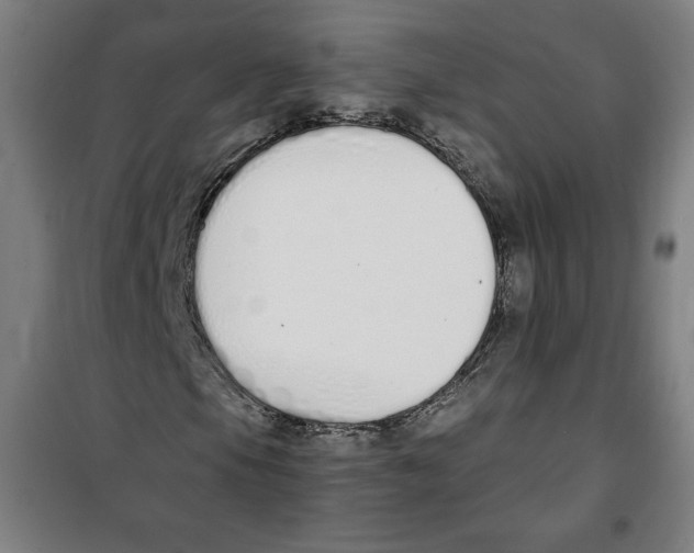 X0000100321105200807031204