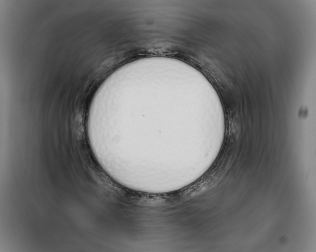 X0000100321106200807031204