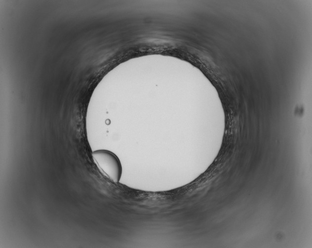 X0000100321109200807031204