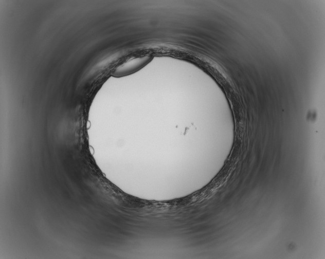 X0000100321111200807031204