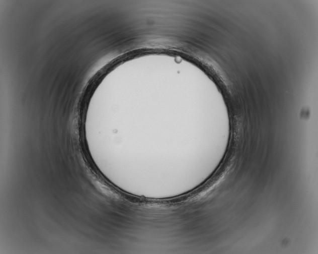 X0000100321114200807031204