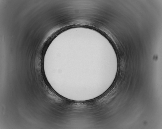 X0000100321115200807031204