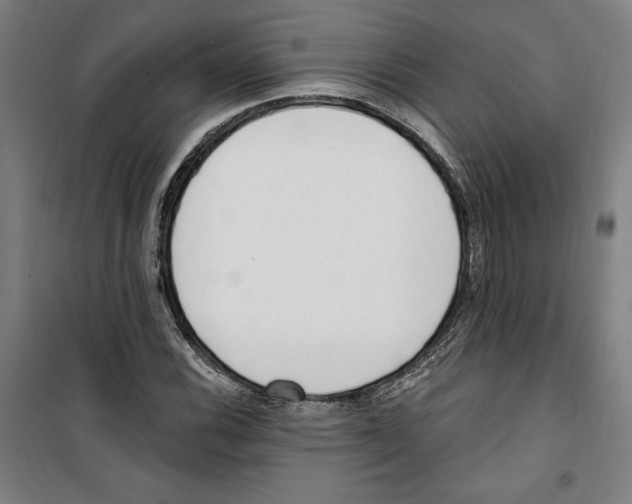 X0000100321116200807031204