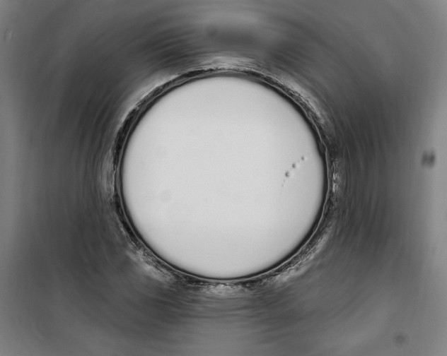 X0000100321117200807031204