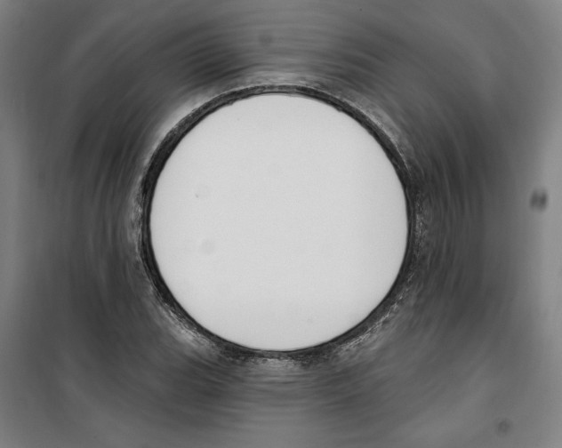 X0000100321119200807031204