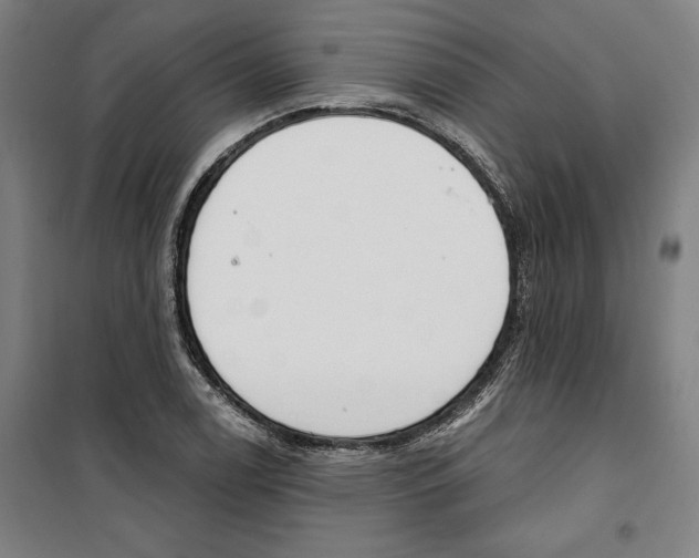 X0000100321122200807031204