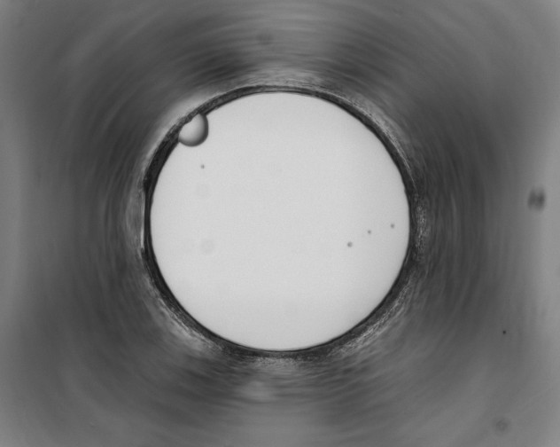 X0000100321123200807031204