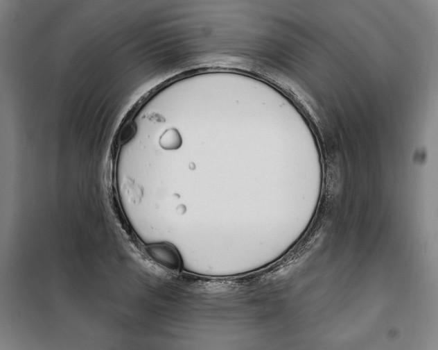 X0000100321125200807031204