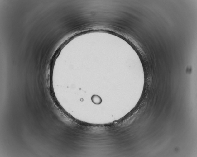 X0000100321126200807031204