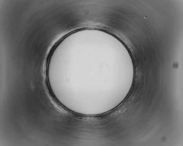 X0000100321128200807031204