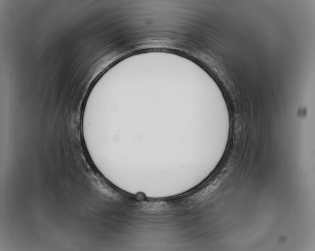 X0000100321129200807031204